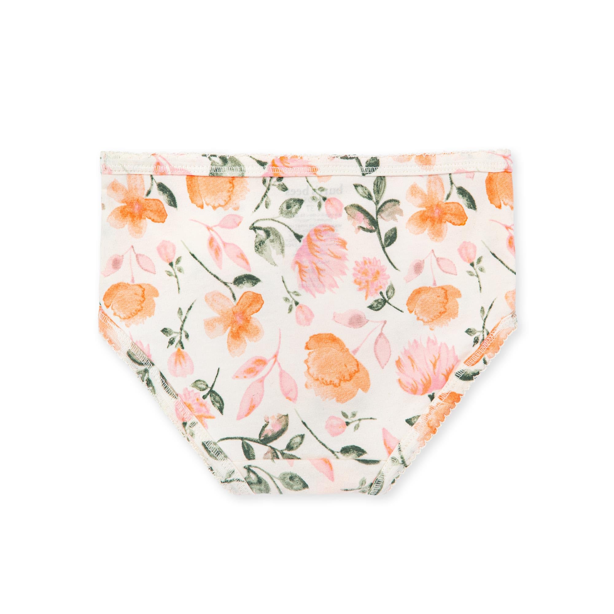 Burt's Bees Baby Conjunto de 5 ropa interior para niñas pequeñas, lisos, rayas, estampados, sin etiquetas, tallas para niños de 2 a 8 años