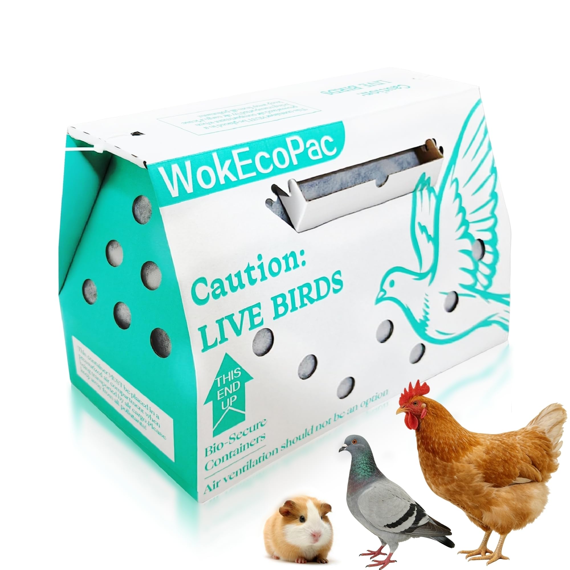 Amazon.com: 12 Pack Single Live Bird Shipping Boxes, Live Chicken