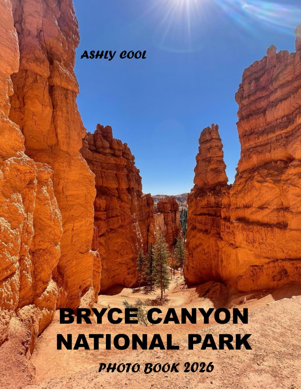 Bryce Canyon National Park: Cool Pictures That Create An Idea For You About - Perfect Gift for tourism & travel lovers.....Relaxing & Meditation.