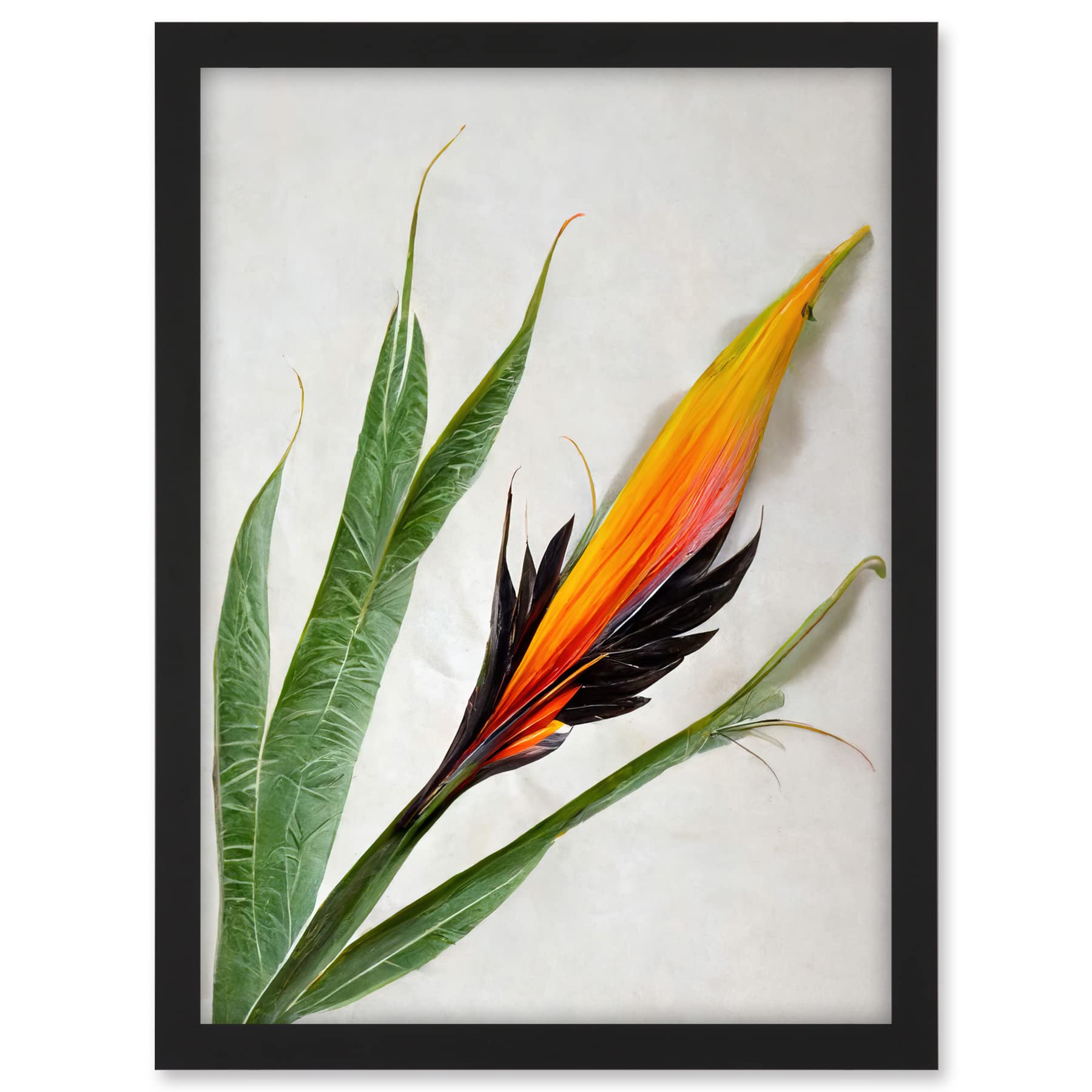Wee Blue Coo Bird of Paradise Tropical Plant Flower and Leaves Illustration on White Artwork Framed A3 Wall Art Print