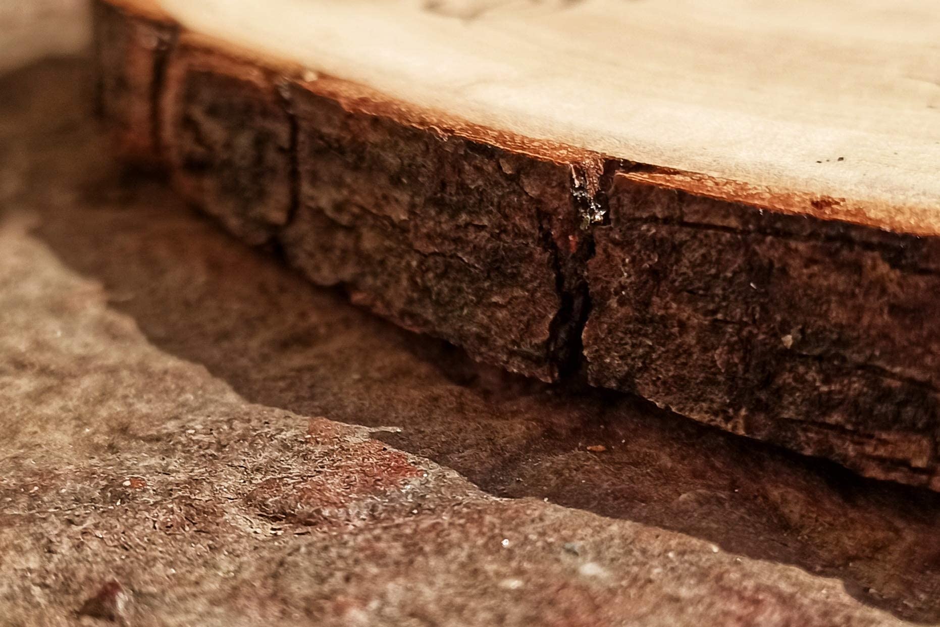 Generico Porta FEDI su Fetta di Legno 15/20 cm, Tema Alpino, Montagna, portafedi Personalizzato per Matrimonio o Altro Evento Speciale Anniversario, FEDI Nuziali