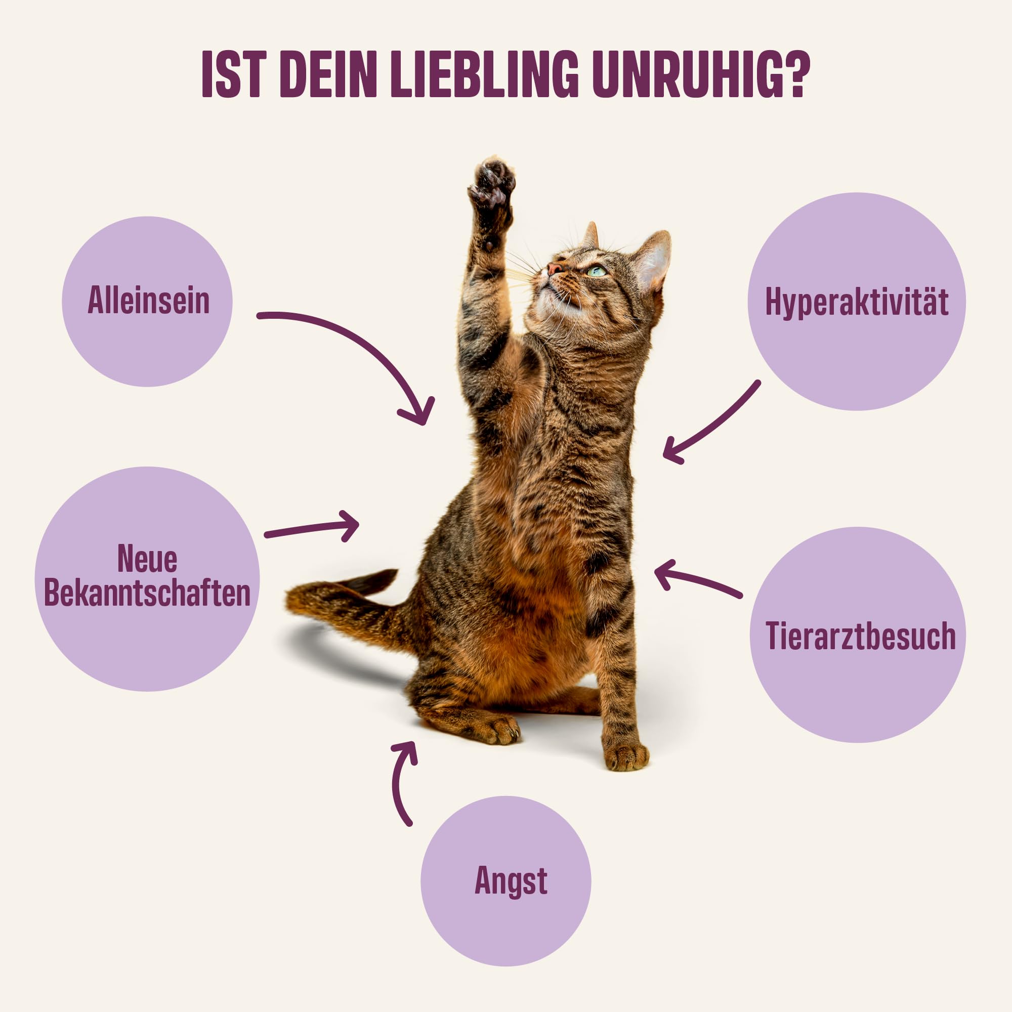 ivvi Ruhe Essenz für Katzen – Anti-Stress Schleck-Snacks mit Kamille, L-Tryptophan & Magnesium – Unterstützt Entspannung & Wohlbefinden – mit echtem Thunfisch – 30 Sticks x 15 g (450 g)