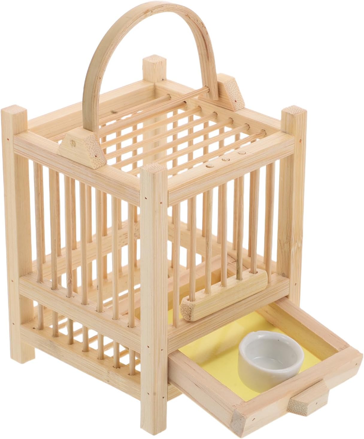 Insect Enclosure with Ventilated Design for Easy Observation