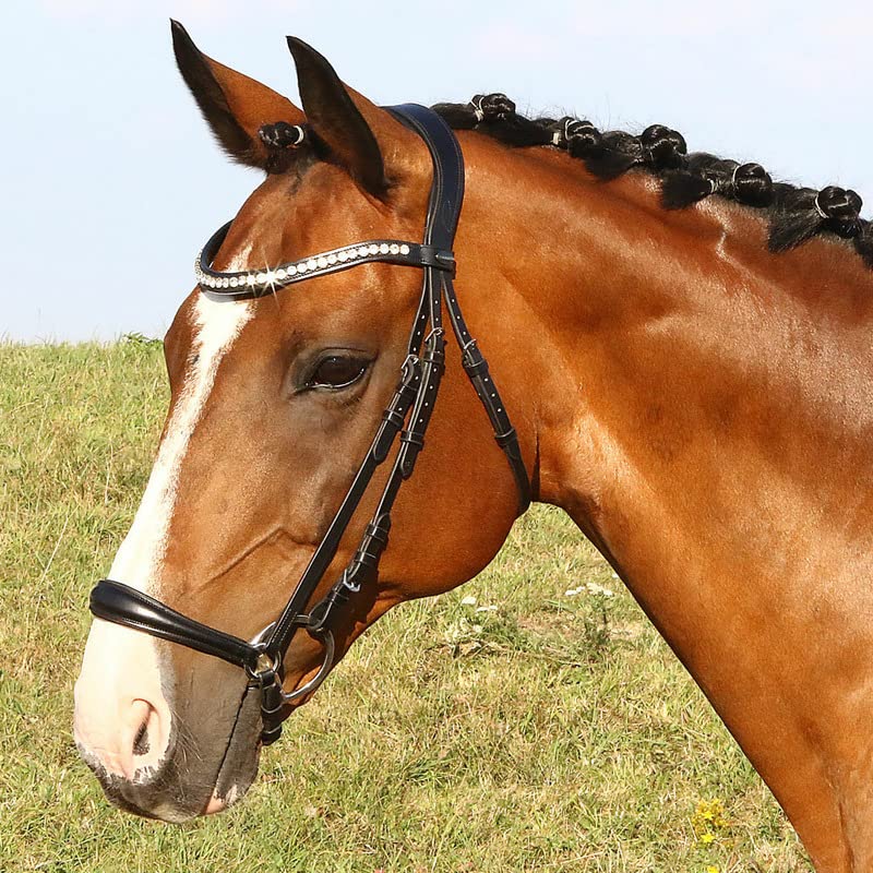 Euroriding William Hunter Equestrian La Rochelle Hannov - Brida para caballo