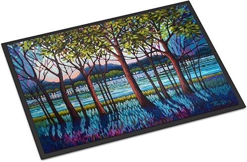 Caroline's Treasures PPD3022JMAT - Tapete para puerta delantera de río tanzanita, 24 x 36 pulgadas, para interiores y exteriores, para entrada,