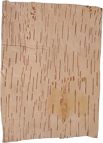 Miniatura 3 de BHAVICREATION Bhojpatra Betula Bhojpatra - Bhojpatra - Bhojpatra - Bhojpatra - Bhojpatra - Bhojpatra - Bhojpatra - Bhojpatra - Bhojpatra - Bhojpatra