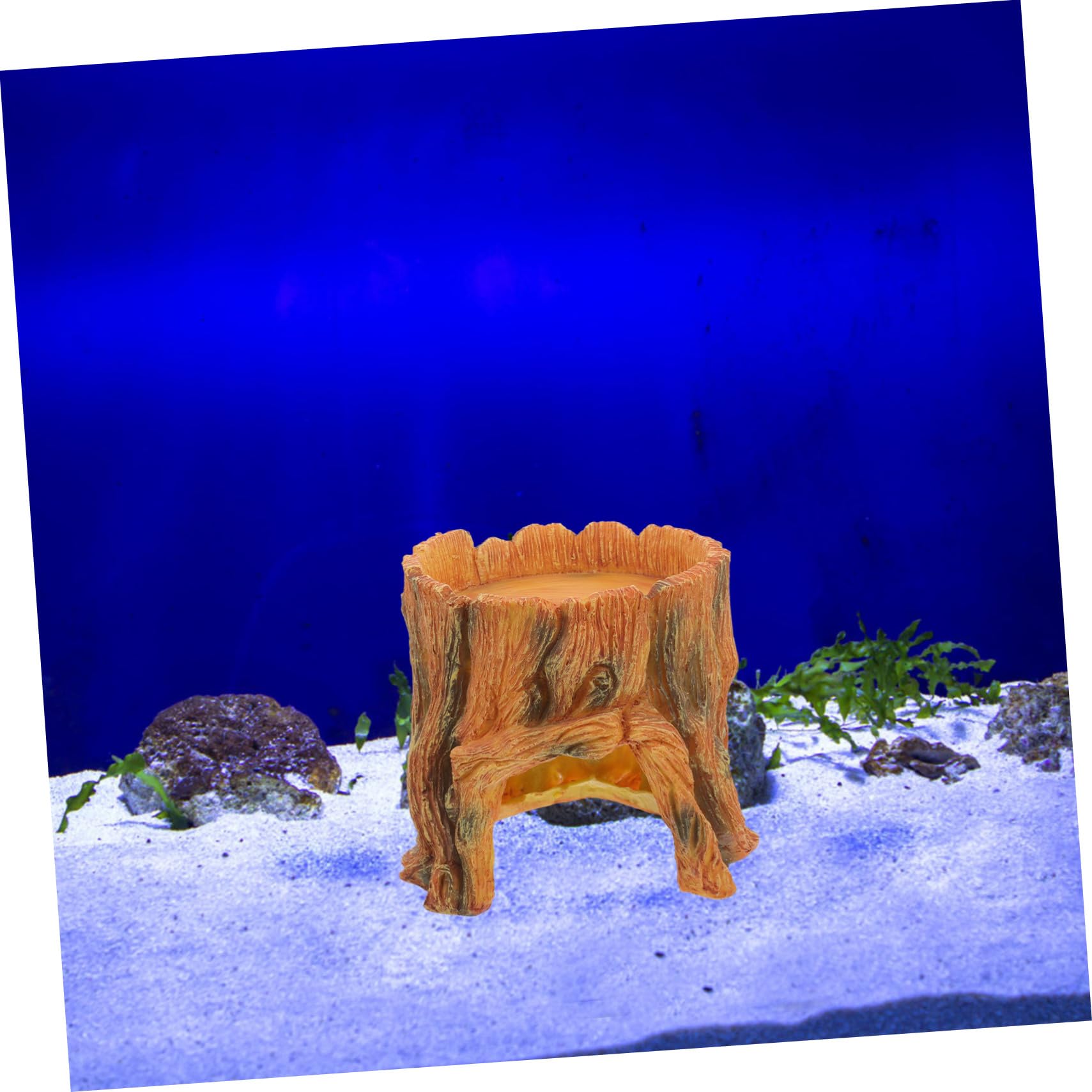 Didiseaon Decorazione Per Acquario Finta Rifugio Per Pesci e Rettili Stump Design Naturale Accessorio Estetico Per Serbatoi e Terrari Facile Da Posizionare e Mantenere