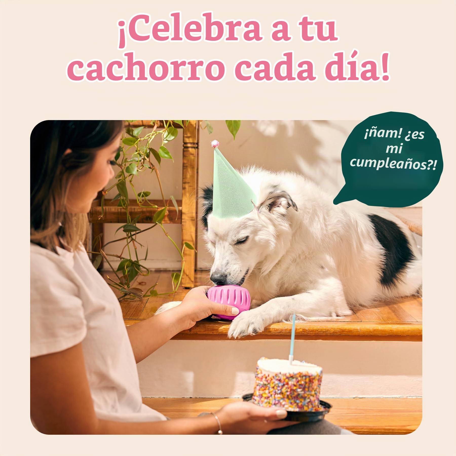 WOOF Party Pupsicle - Juguetes interactivos de larga duración para el aburrimiento - Diseño de bajo desorden - Regalos de cumpleaños para perros - Juguetes para perros grandes - Fiesta rosa