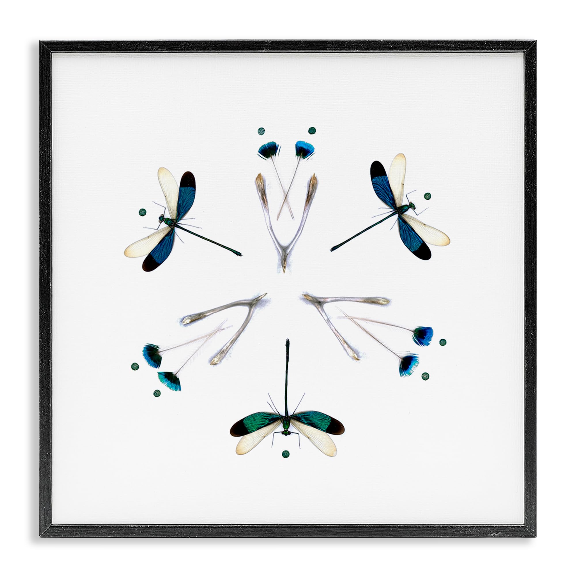 Stupell Industries Symmetric Dragonfly Mandala Wings 'Simple Dragonfly Symmetry', Framed Giclee Art, Black, 17 X 17 Inches, Easy To Hang And Sturdy, Made In Usa, By Beth Adoette