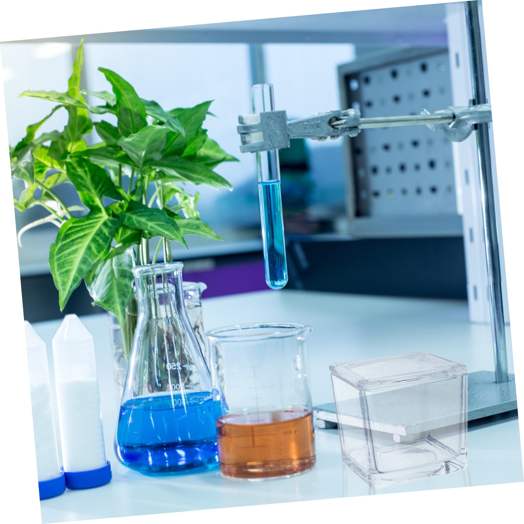 Transparentes Glas Färbegefäß mit 30 Objektträgern Mikroskopzubehör für Kinder Vertikales und Rundes Design Stabile Färbeumgebung für Biologieunterricht