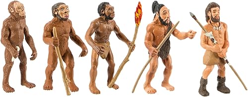 Safari Ltd. Evolution of Man Set - Figuras de juguete educativas detalladas de la evolución humana - Colección realista de etapas de desarrollo