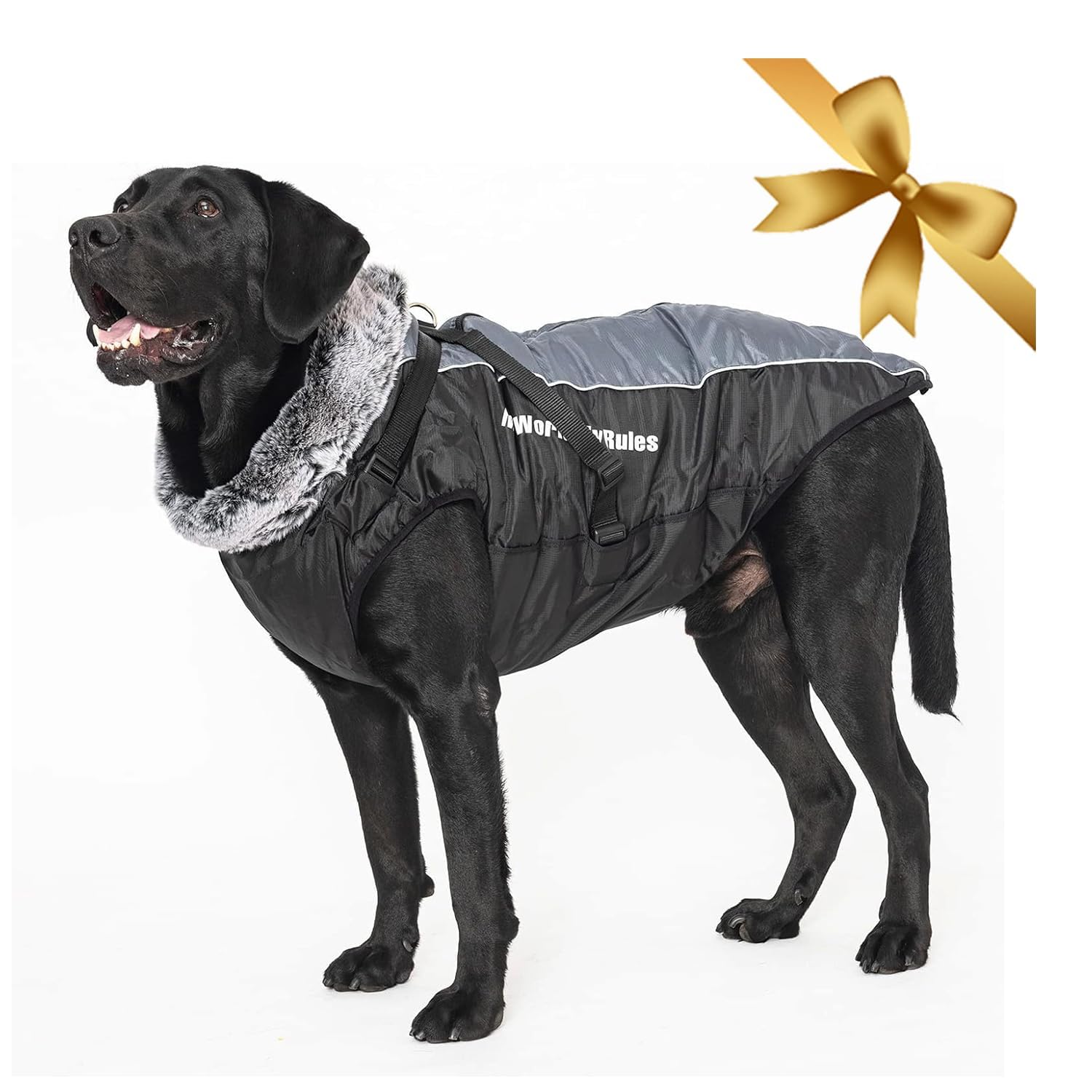 SPACE LION Hundedaunenjacke Mit Entendaunen – Warm, Wasserabweisend, Winddicht, Verstellbar, Für Große Hunde (2XL)