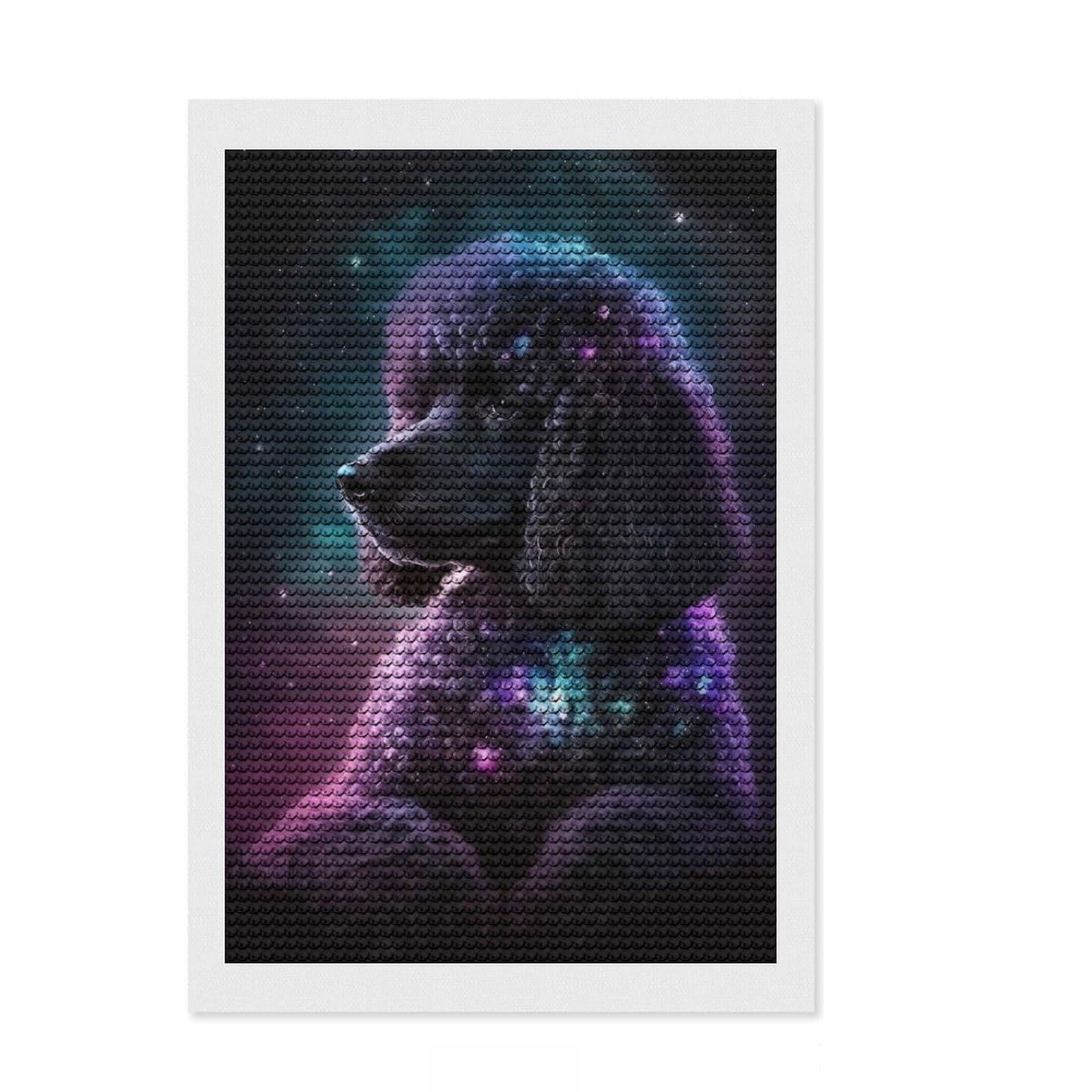 Junmoney Poodle Style 3 Diamond Painting Canvas Set 8"x12", for Beginners, Nice Detail and Sparkle, Farmhouse Decor, Festive Craft Gift