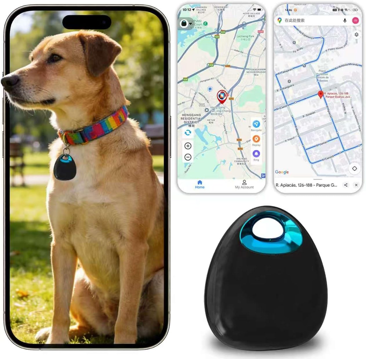 GPS Tracker for Dogs & Cats –No Monthly Fee, Waterproof Real-Time Tracking Collar for Pets, Kids,Luggage & Assets | 365-Day Battery Life | iOS & Android Compatible | Anti-Lost Device