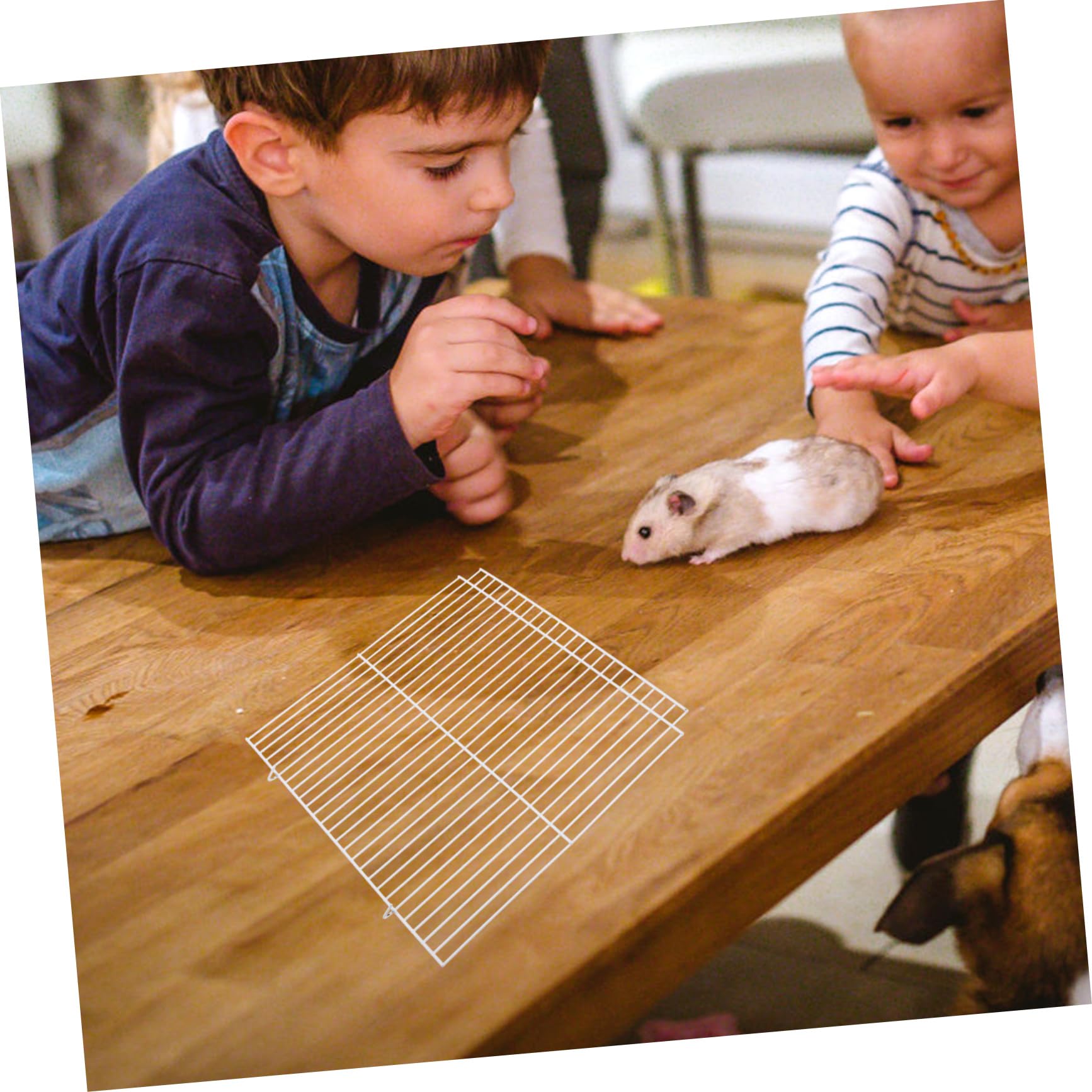 Divisorio Per Gabbia Criceti - 2 Pezzi In Filo Di Ferro, 28x27 Cm, Per Gabbie 47x30x30 Cm - Foto 4