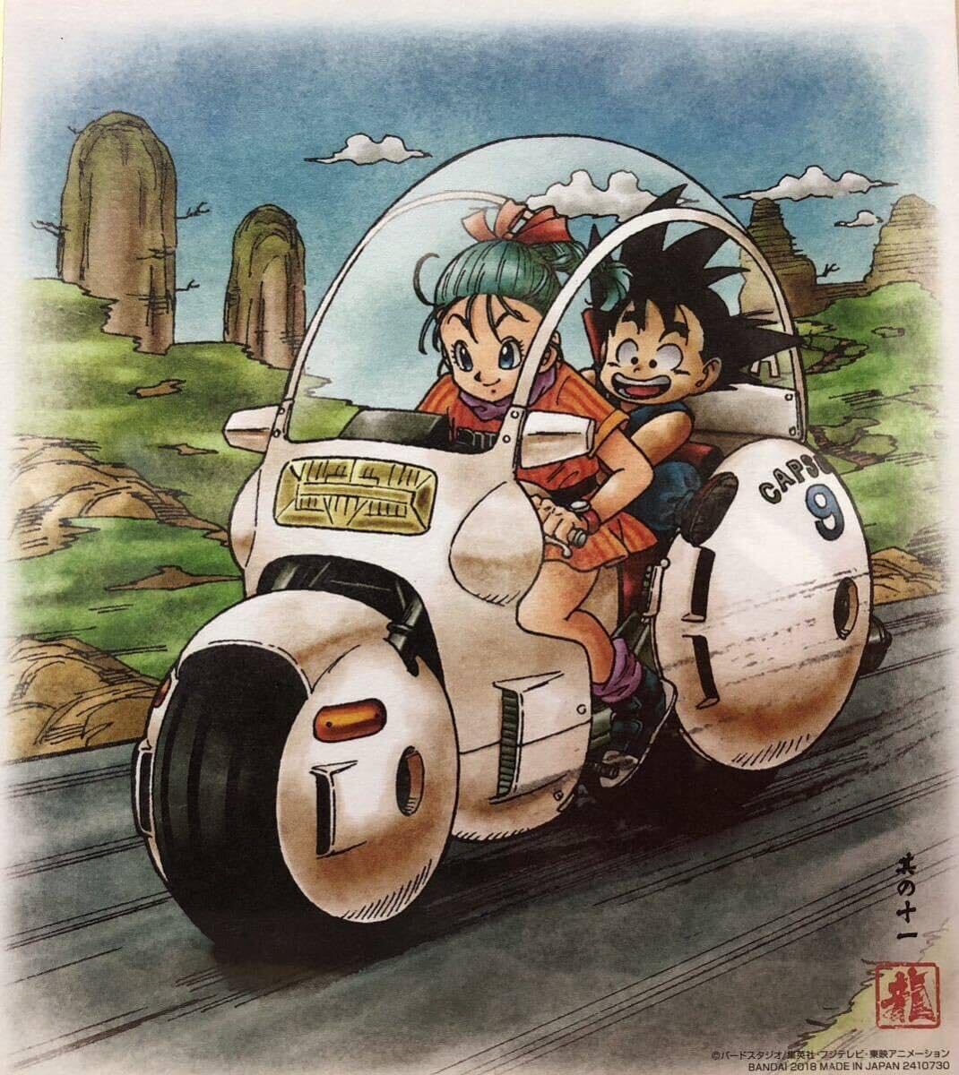 ドラゴンボールZ ブルマと孫悟空 プラ製 ビジュアルアートポスター 