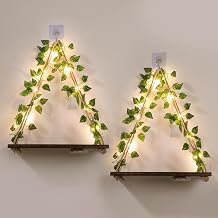 EXIN DECHEN Floating Shelves for Wall No Drilling,Wall Shelves,Hanging Shelf,Leaves and Light Strip with Flower,Set of 2 Plant Decor for Home Livingroom Bedroom,Led Christmas Decorations,Gift