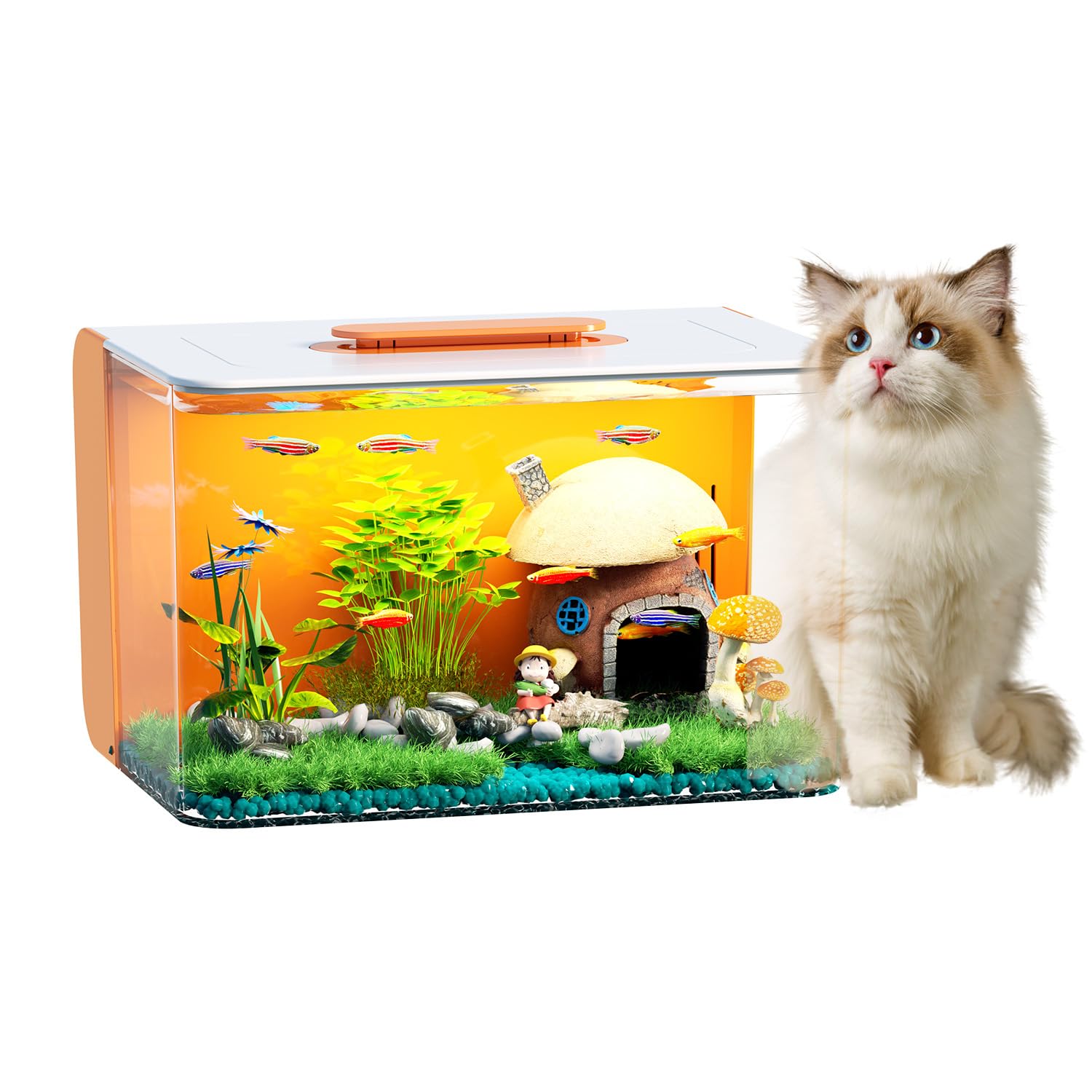 Photo 1 of 2.5 Gallon Fish Tank Starter Kit with Hidden Filtration Light Acrylic Small