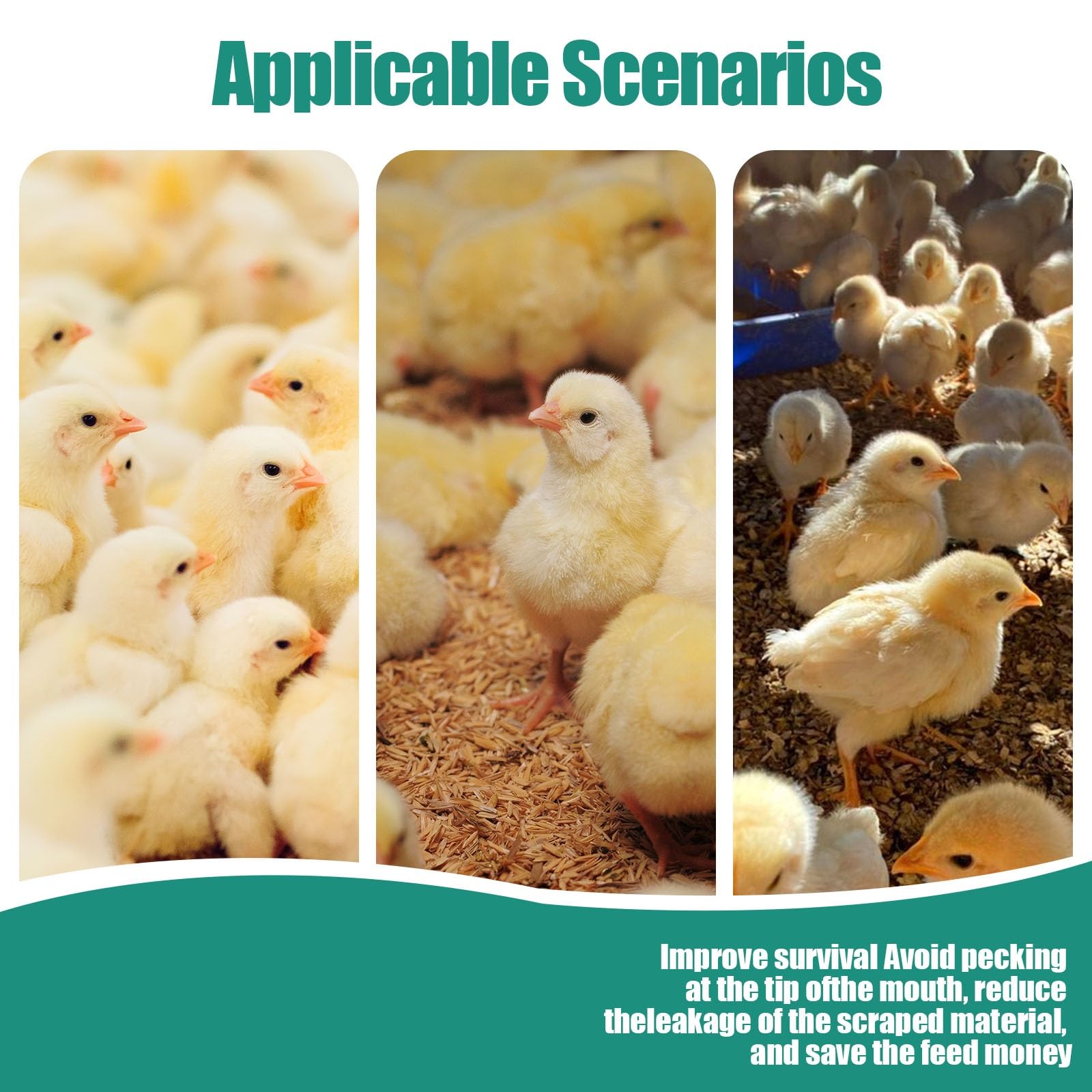 Equipo De Despicado De Aves, Máquina Automática De Corte De Pico 220v, Cortador Eléctrico Con Regulación De Temperatura Y Alta Eficiencia