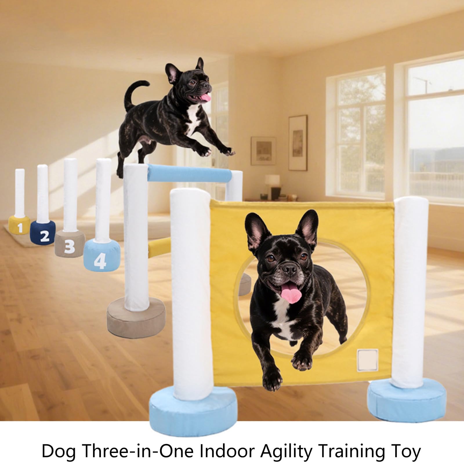 Generisch Multifunktionales Hunde Trainingsgerät, Haustier Trainingsset, verbessert die Mobilität, und Rehabilitationstraining, Hunde Spielzeug