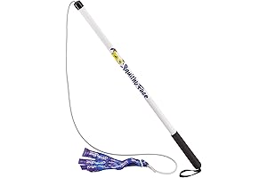 Flirt Pole V2 with Premium Lure - Enriching Dog Exercise, Training & Enrichment