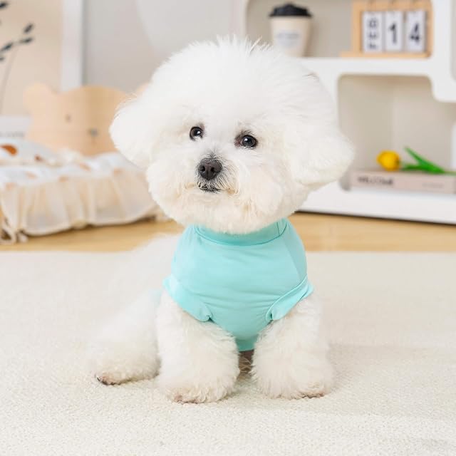 Foto 7 de 7 de Izefia Camisetas para Perros Ropa Camiseta para Perro Pequeño Chaleco Deportivo Reflectante Elegante…