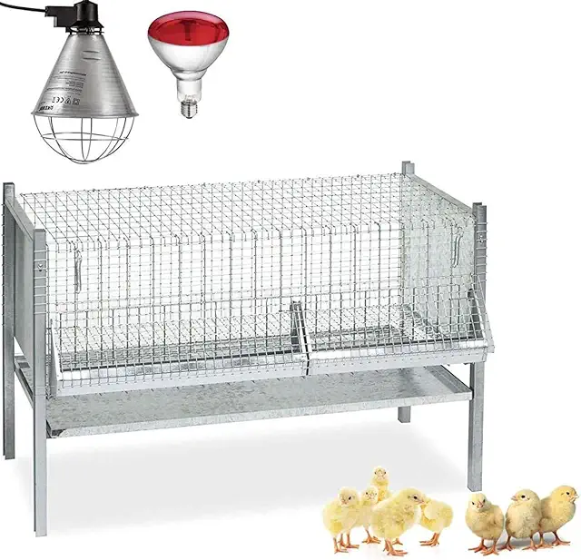 Gabbia Pulcini Completa 100 cm con Riflettore e Lampada Infrarossi 150W