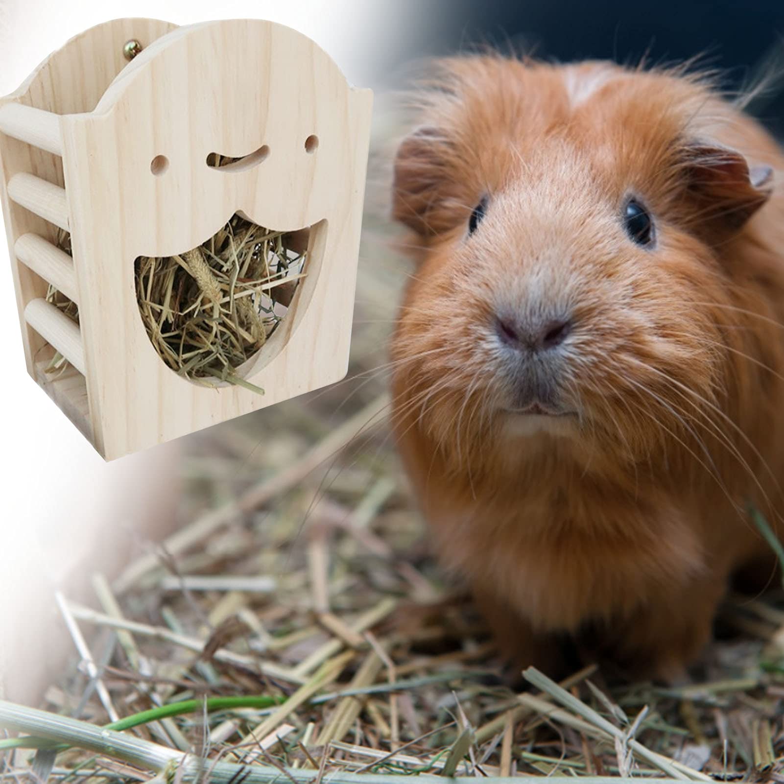 Amazon | 牧草フィーダー うさぎ 小動物 モルモット チンチラ