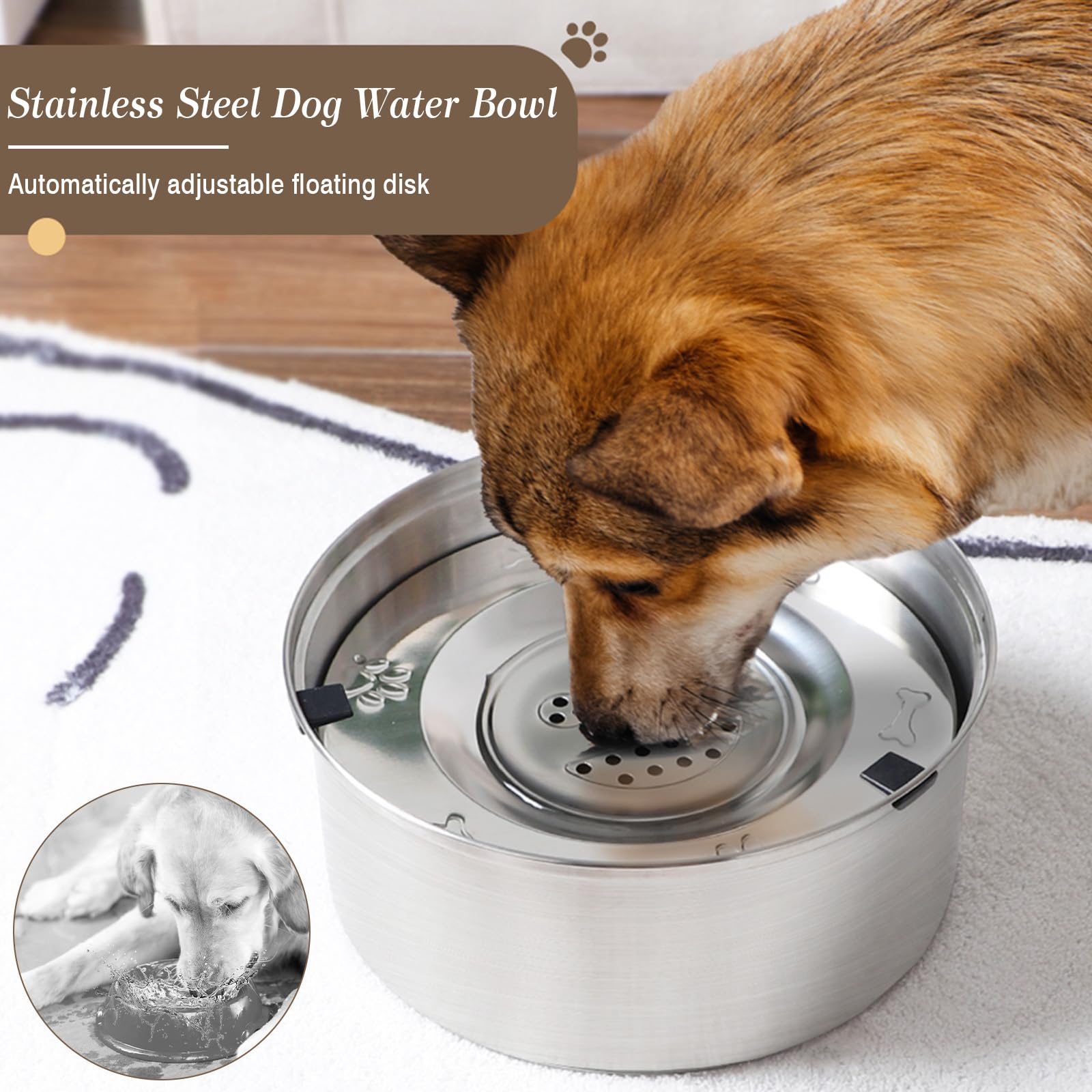 Ciotola Dell'Acqua Per Cani Da 3 L, In Acciaio Inox, Con Coperchio Senza Fuoriu S1 197972196618 Ciotola Dell'Acqua Per Cani Da 3 L, In Acciaio Inox, Con Coperchio Senza Fuoriu S1 197972196618