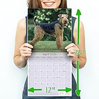 Vista 728 de Razas de Perros 2017