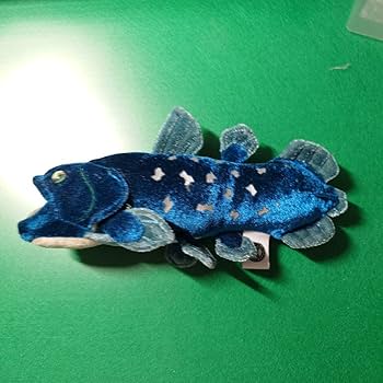沼津港深海水族館限定・シーラカンスフィギュア　カロラータ社製 沼津港深海水族館限定・シーラカンスフィギュア カロラータ社製