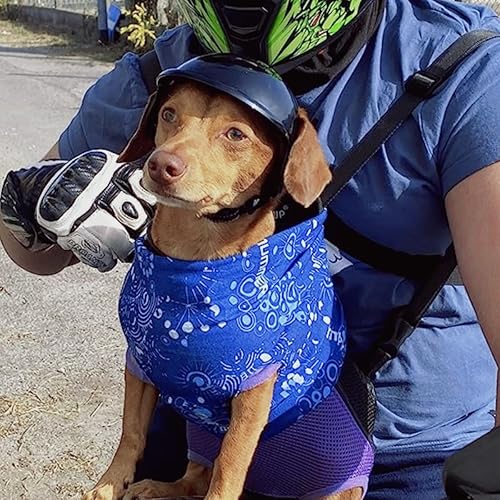 Miniatura 5 de Namsan Casco para perros pequeños y medianos, cascos de motocicleta con orificios para las orejas, casco para exteriores para protección de la