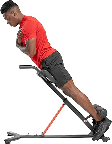 Sunny Health & Fitness Hyperextension SF-BH620062 - Silla romana con estación de inmersión, color negro