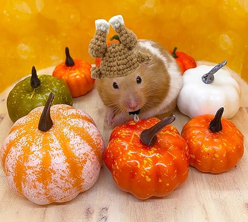 Miniatura 8 de Sombrero de pavo de animal pequeño para conejo, hámster, conejillo de indias, chinchilla, erizo, lagarto, dragón barbudo y otras mascotas pequeñas,