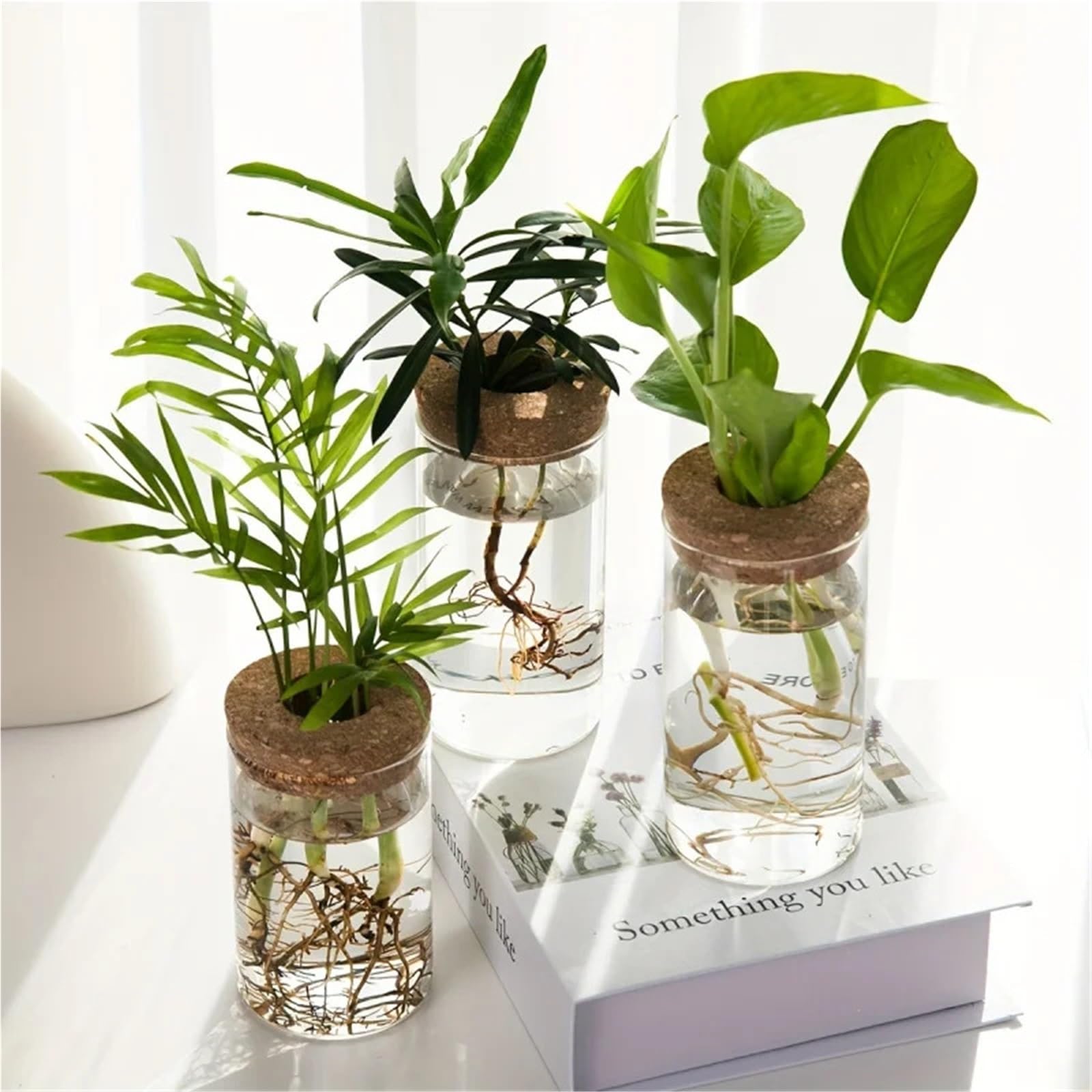 Vase Hydroponique Verre Verre Transparent hydroponique Vase1-2Home Bureau Plante Verte enracinement conteneur décoration Ornement(6.5X12CM 2PCS)