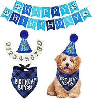 犬 バースデー 誕生日 スタイ ペット 飾り付け 猫 誕生日帽子 バンダナ 風船 バナー ペットグッズ おしゃれ 記念日 メモリアル パーティー飾り (ブルー)