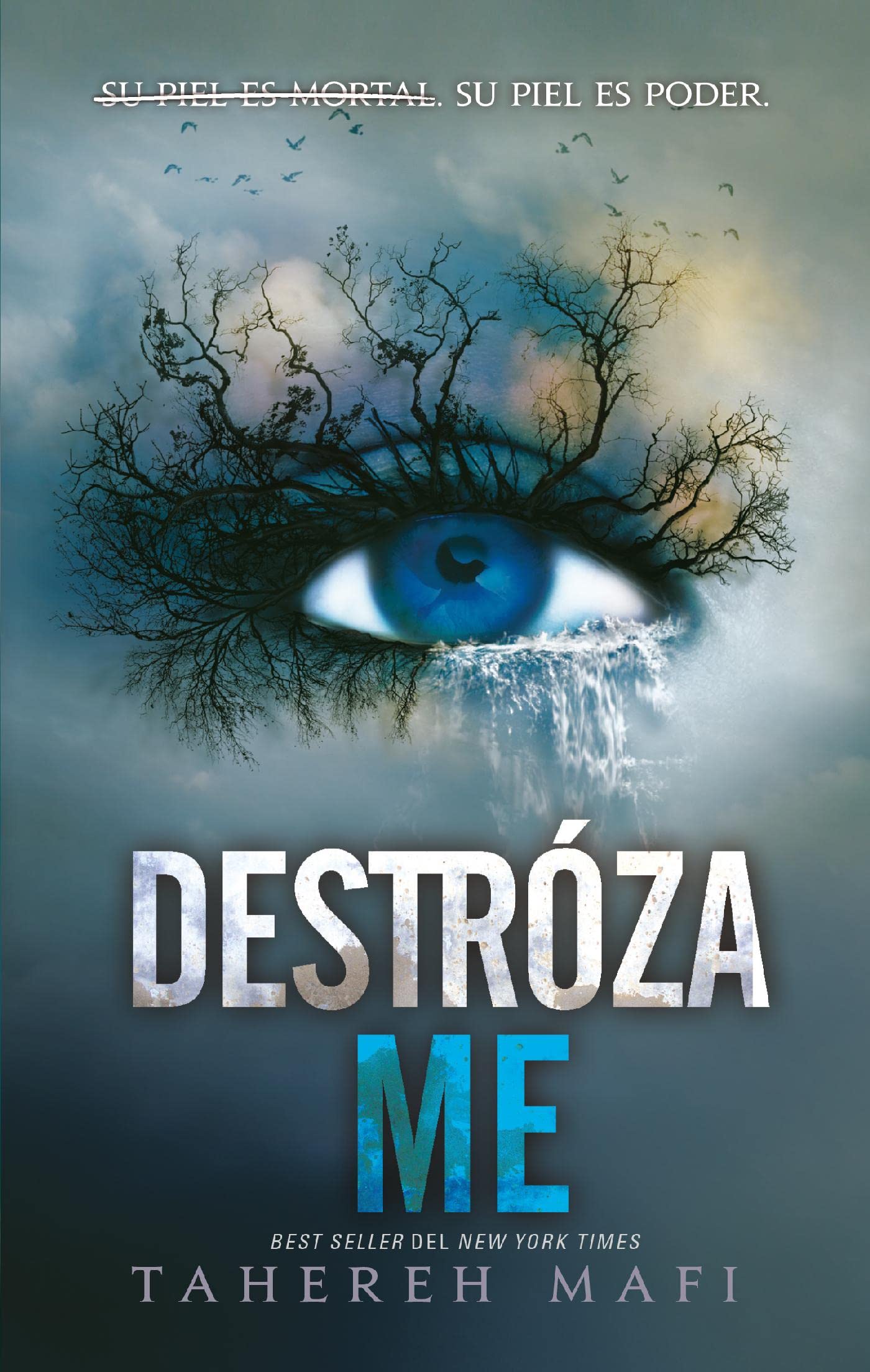 Destrózame (Spanish Edition)