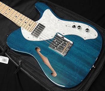 fujigen Neo classicシリーズ　テレキャスター Amazon | FGN FUJIGEN NTE110MMHT TBL フジゲン Neo Classic SERIES