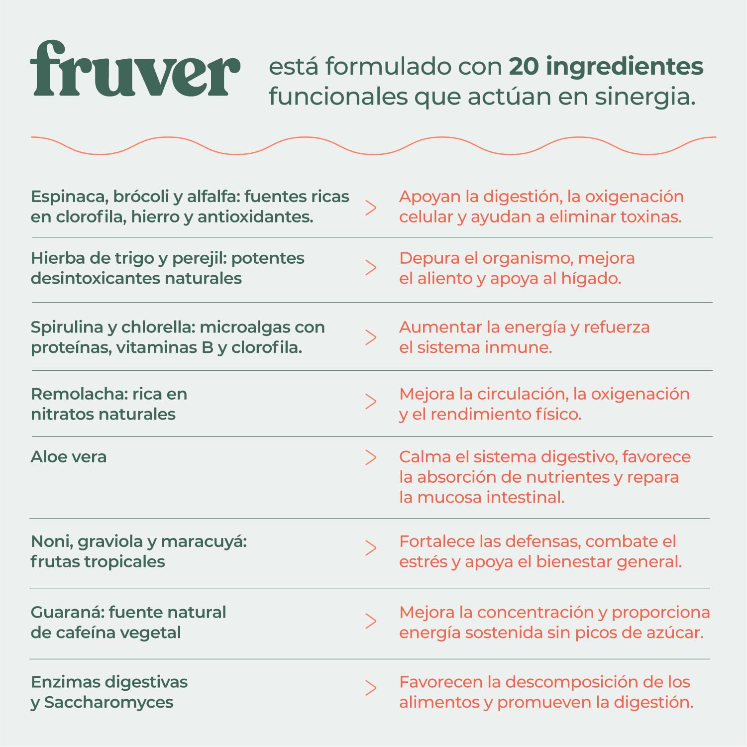 Fruver Super Greens en Polvo – Jugo Verde con 19 Superalimentos Naturales | Spirulina, Cúrcuma, Aloe Vera y Probióticos | Digestión Ligera, Energía y Vitalidad | Sin Azúcares Añadidos