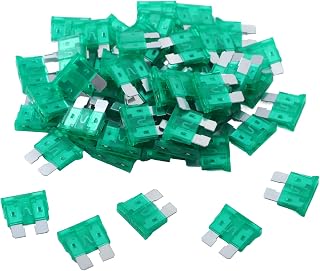 100 Pack Auto Fuses 30 AMP ATC/ATO Standard Regular Fuse Blade 30A Car Truck Boat Marine RV