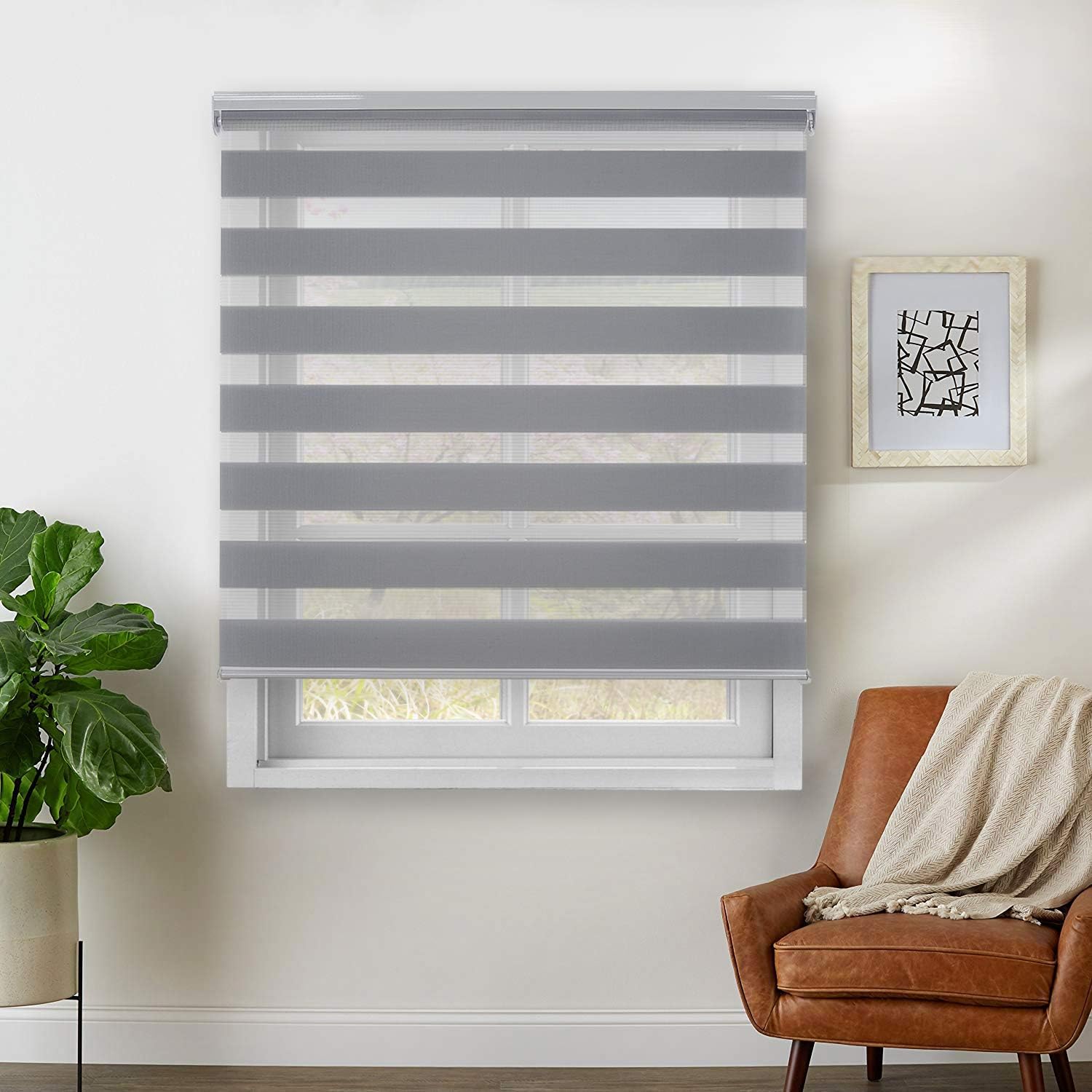 Rama Rose Dual Layer Sheer Roller Shades Combi Window Blind,Day and Night Blind Curtain,36x72,(Light Gray)