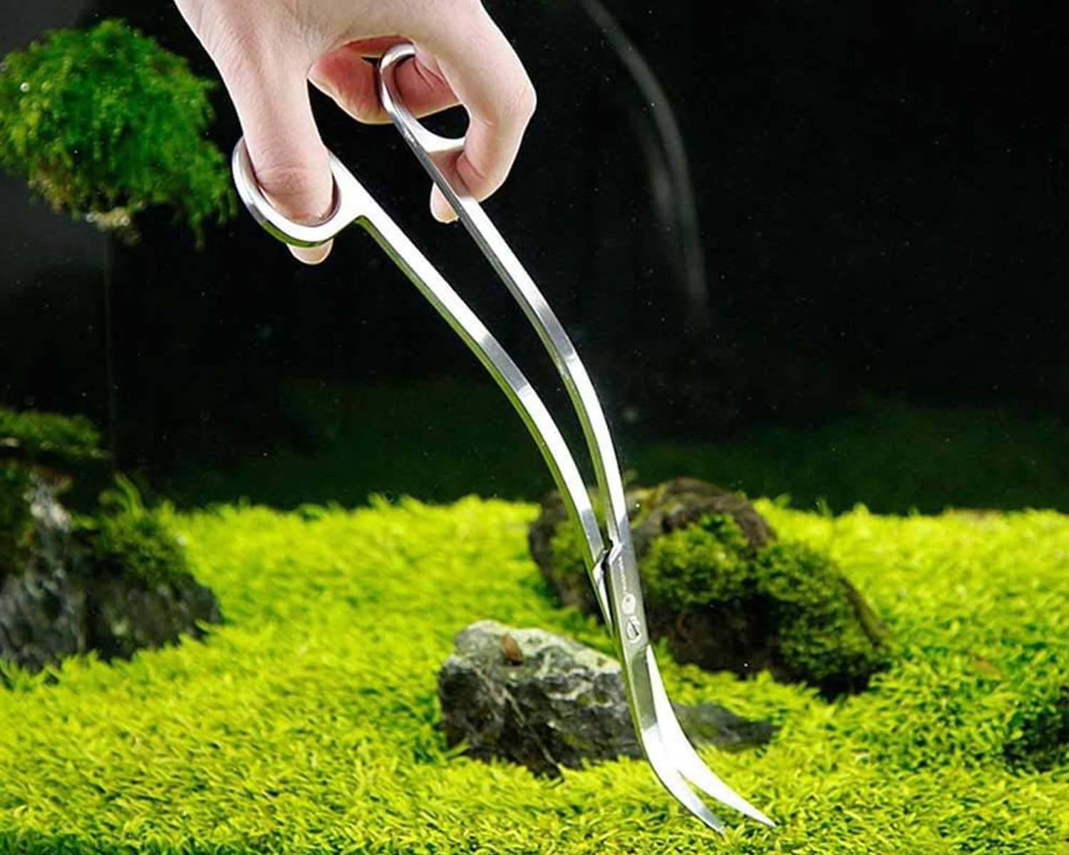 Forbici curve in acciaio inox per acquario, 25 cm, forbici per piante acquatiche, strumento per acquari