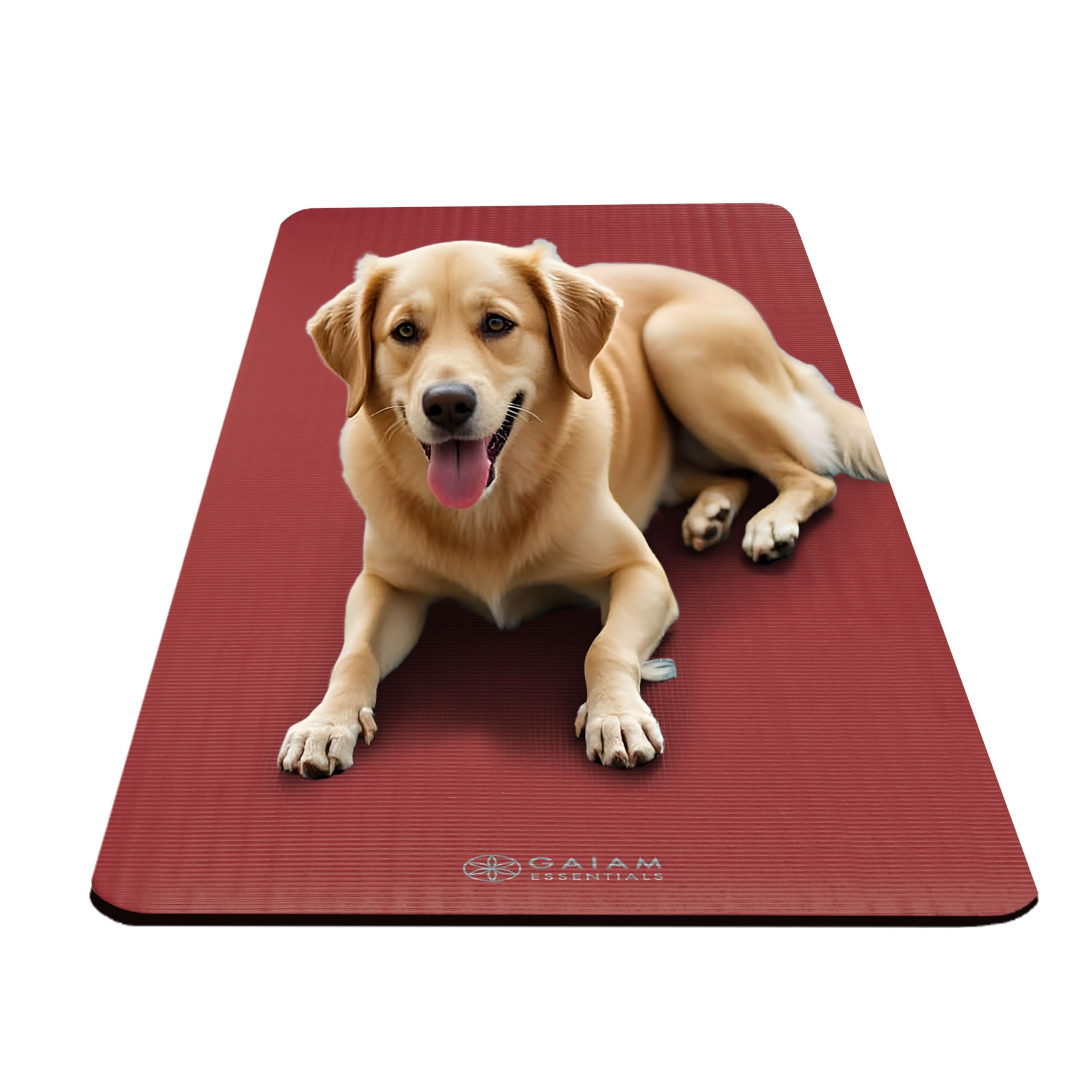 Gaiam Essentials Thick Yoga Mat with Easy-Cinch Strap (Red, 10mm) view 6