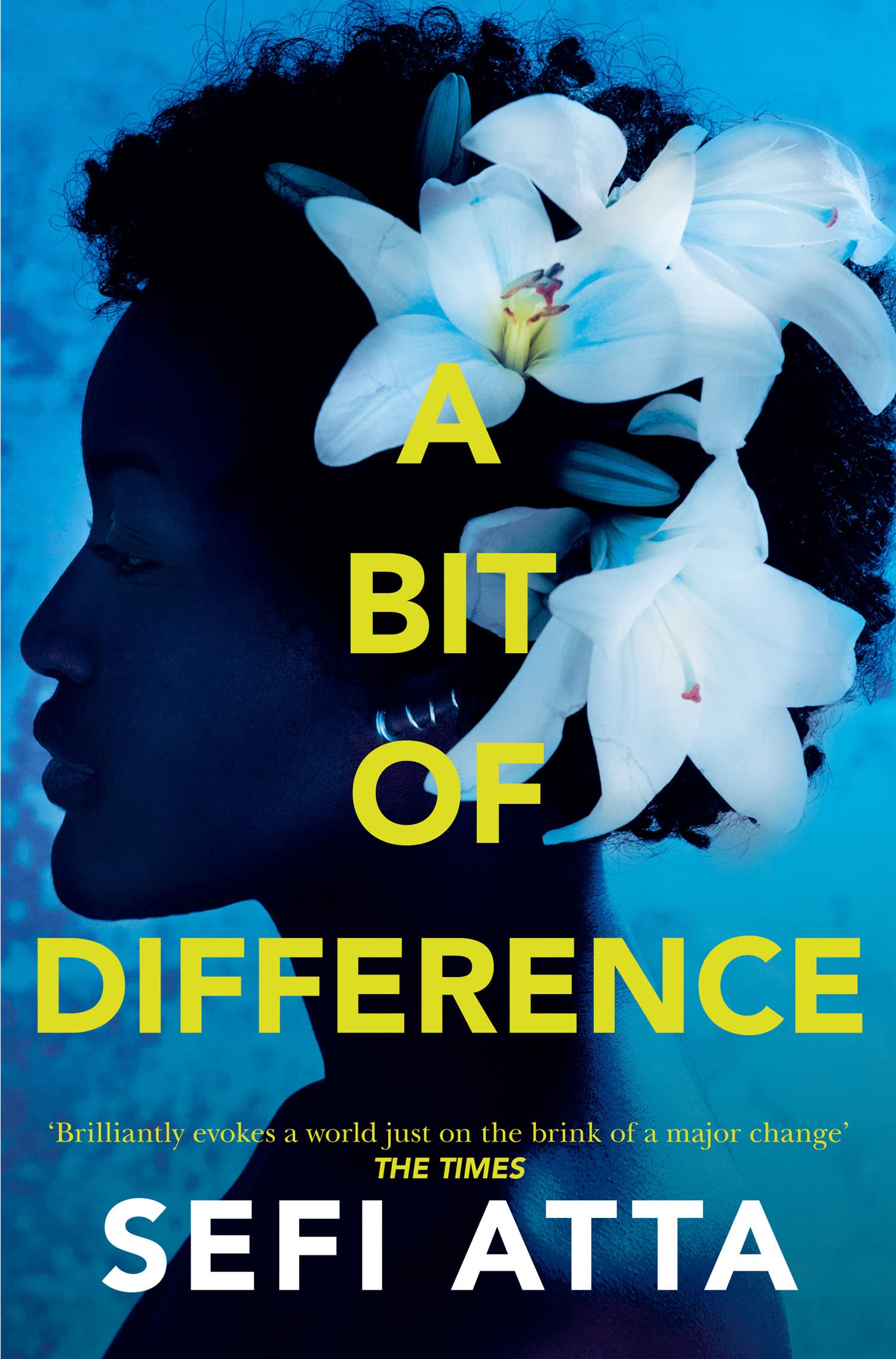 A Bit of Difference by Sefi Atta PAPERBACK 9780007536108
