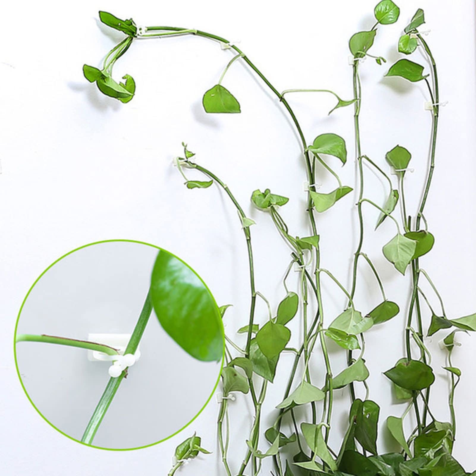 Happyyami 50 Clip Per Piante Rampicanti – Plastica Verde Riutilizzabile – Supporto Per Viti E Fusti - 2