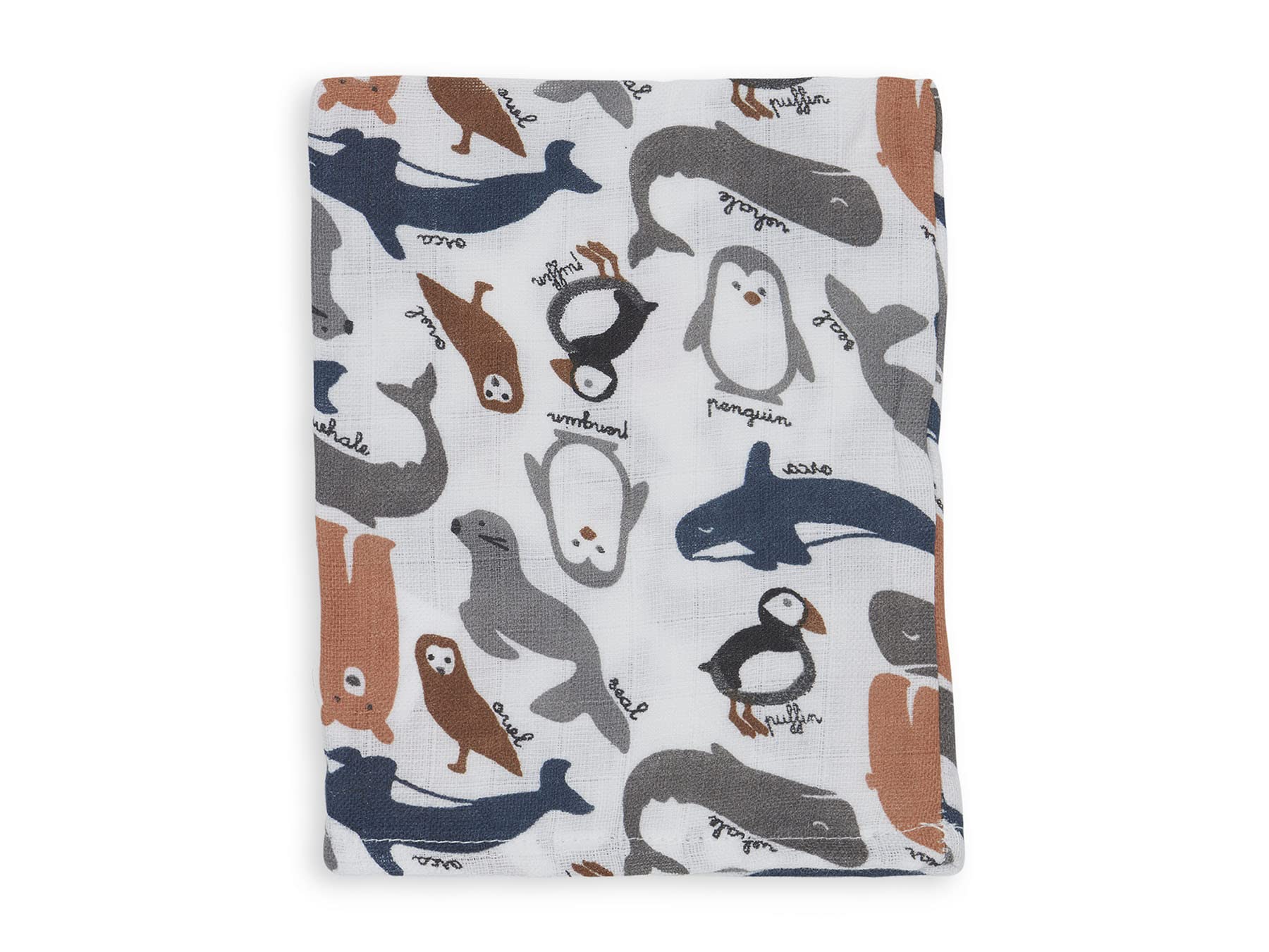 Jollein Gant de Toilette Polar Hydrophile 3-Pièces, 20 cm Longueur x 15 cm Largeur, Multicolore