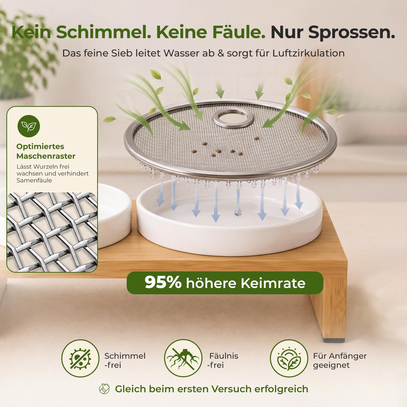 Sprossen Anzuchtset 44cm mit 3 Keramik Kresse Anzuchtschalen