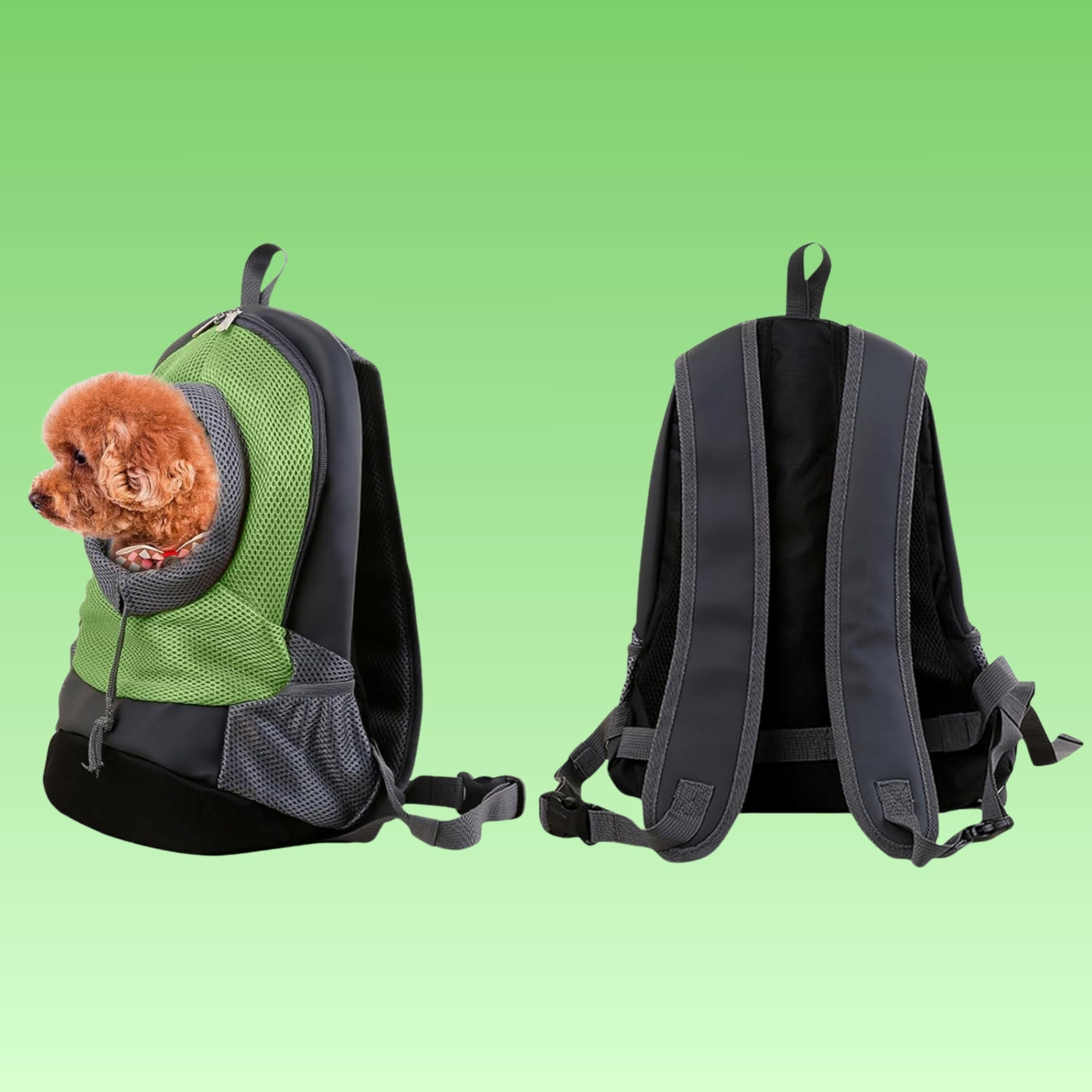 Yasta Zaino per Cani 5-7 kg, Zainetto Porta Cane Piccola, Trasportino Morbido Rete Traspirante con Foro Testa, Marsupio Viaggi Trekking