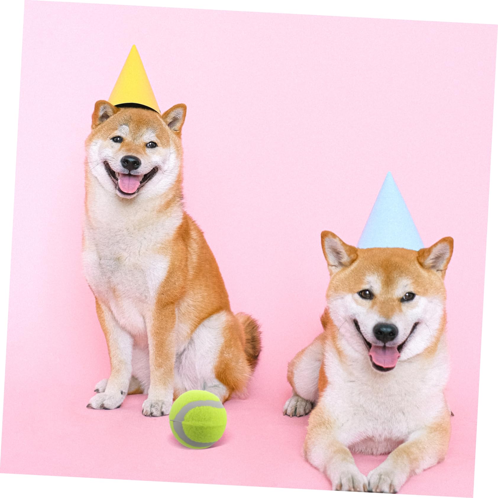 HEMOTON 22 Stück Teiliges Hundespielzeug Elastische Gummibälle für Interaktives Training und Spiel für Große Mittelgroße und Kleine Hunde Apportieren für Bewegungsspiele