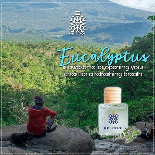 Miniatura 7 de MR. COOL SPA in your Car - Ambientador orgánico para aliviar el estrés, ambientador de aire para coche, 0.3 fl oz (eucalipto marino)